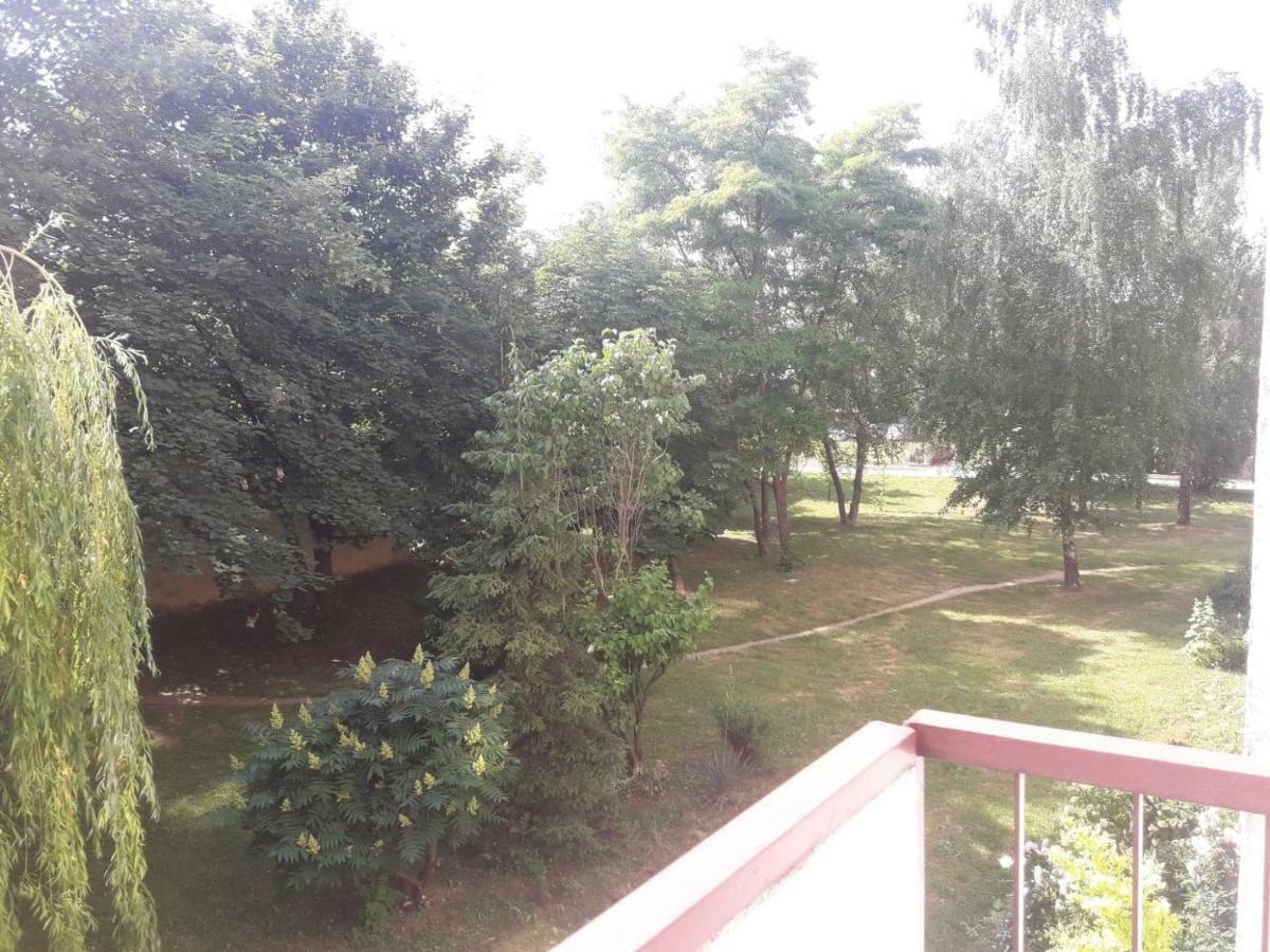 Apartament Krolewski Сандомир Екстер'єр фото